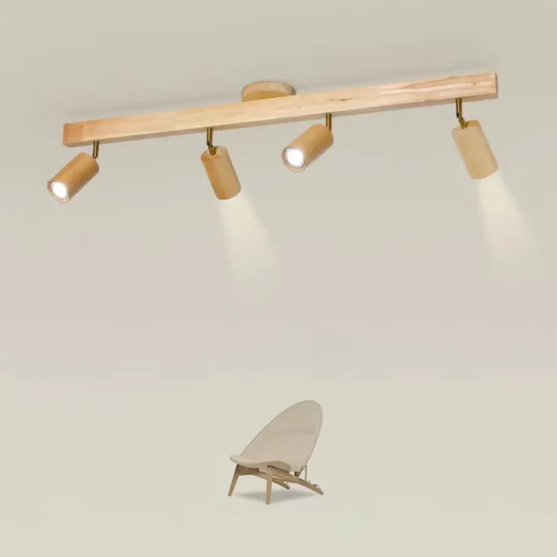 Elegant Design LED Ceiling Light