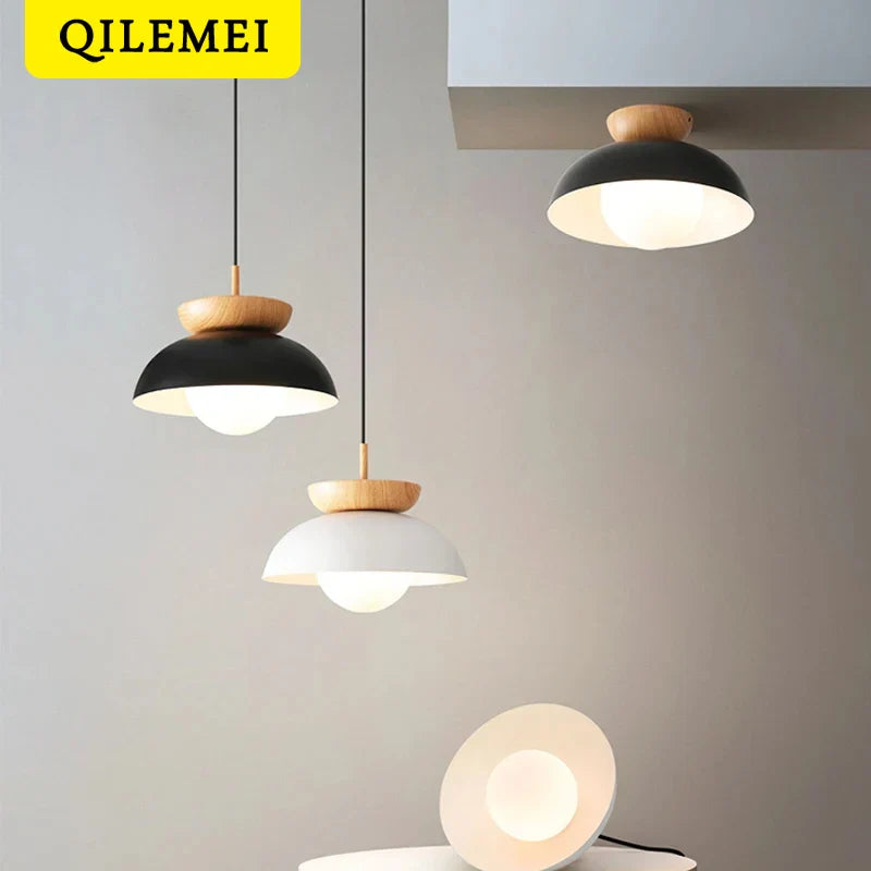 Elegant Modern LED Ceiling Light