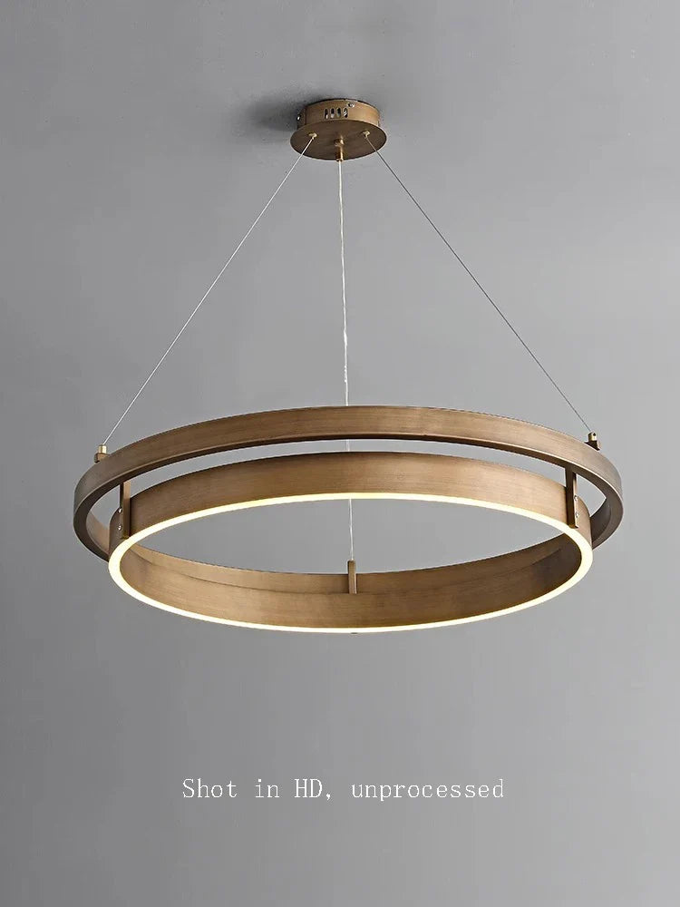 creative bronze chandelier with LED suspension