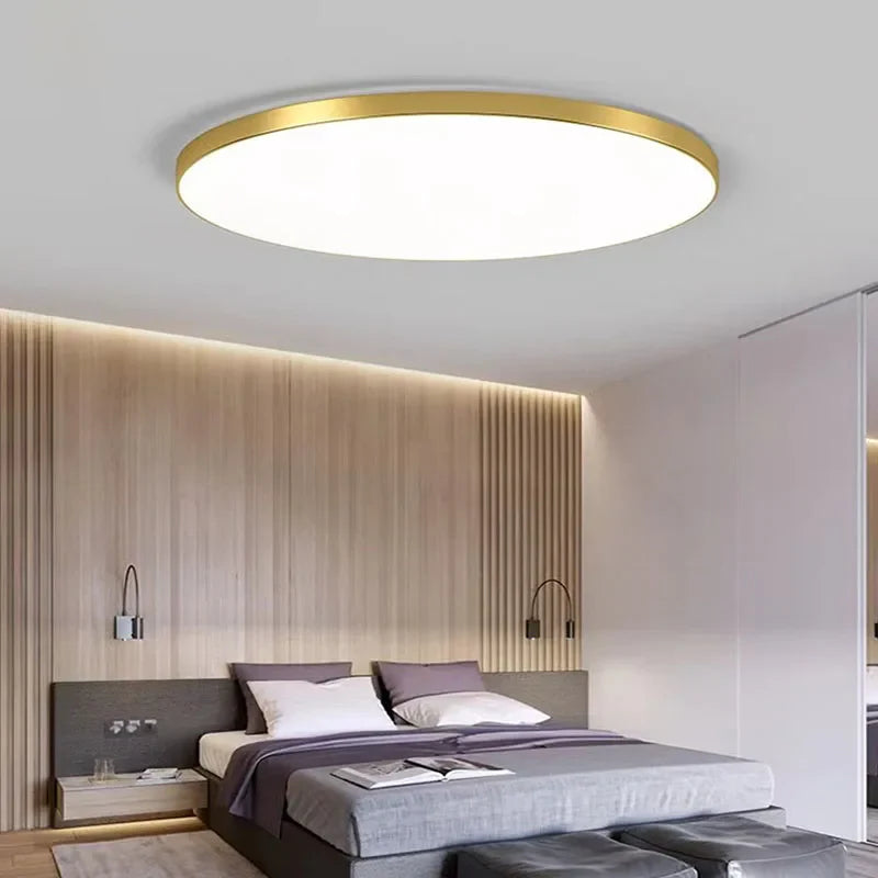 Modern Indoor LED Ceiling Light