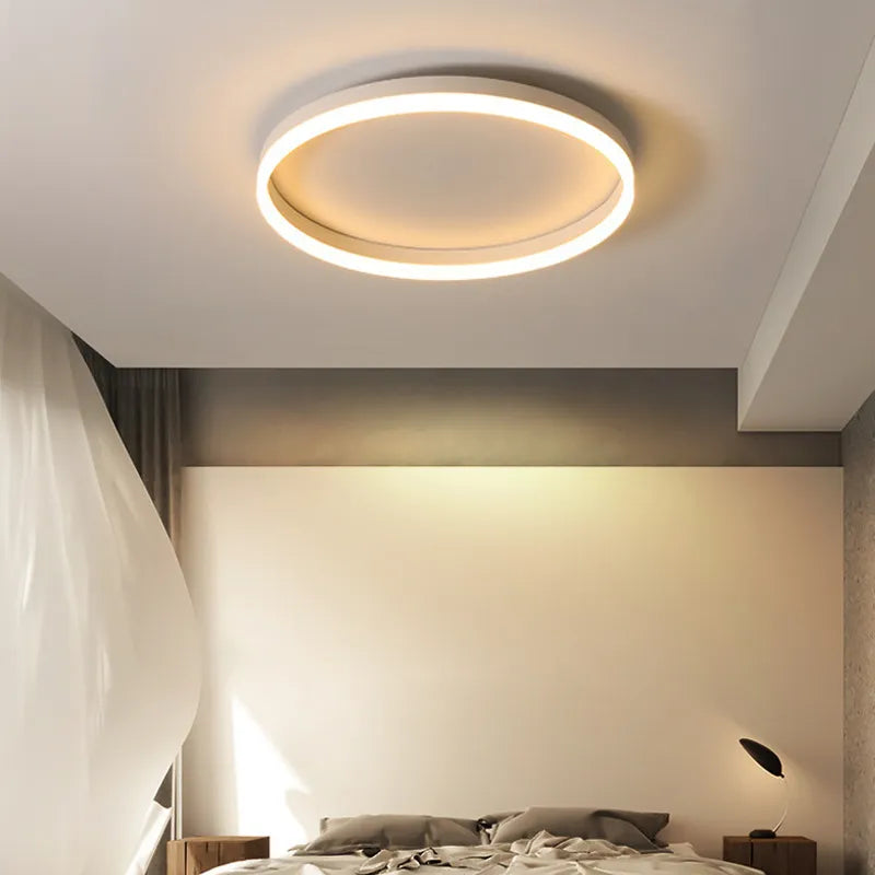 Elegant bright contemporary ceiling