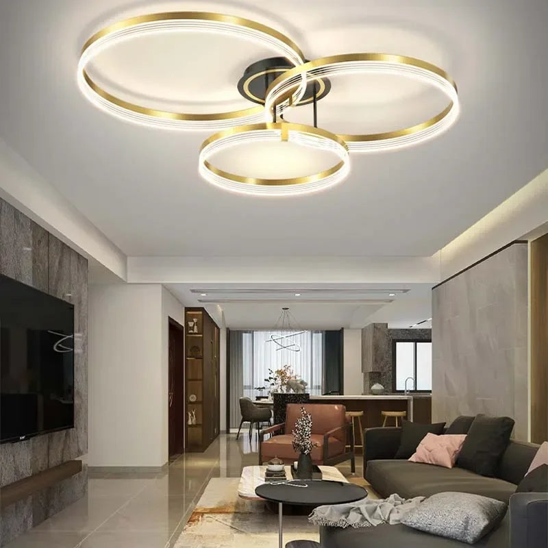 Modern chandelier illuminates elegant space