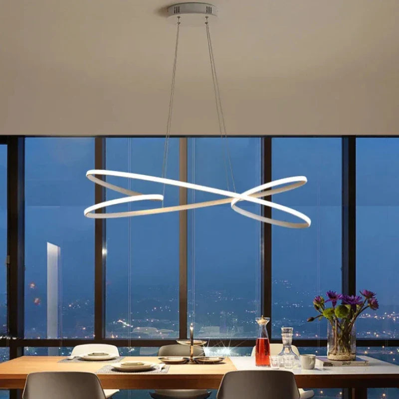 Contemporary design metal pendant light