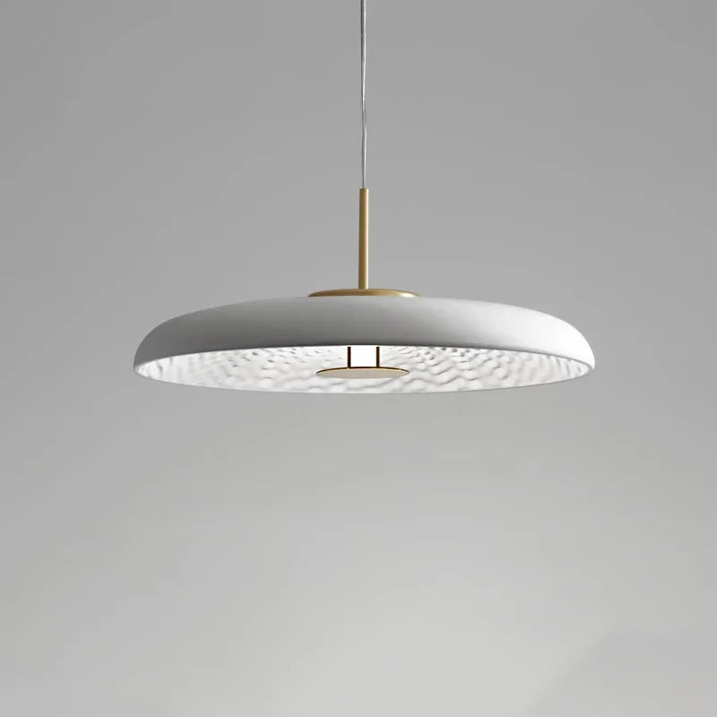 Creative design ceiling light for a restaurant or store
