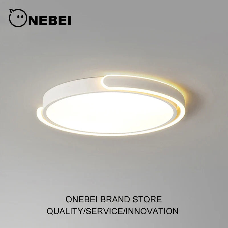 Sleek Contemporary LED Ceiling Light