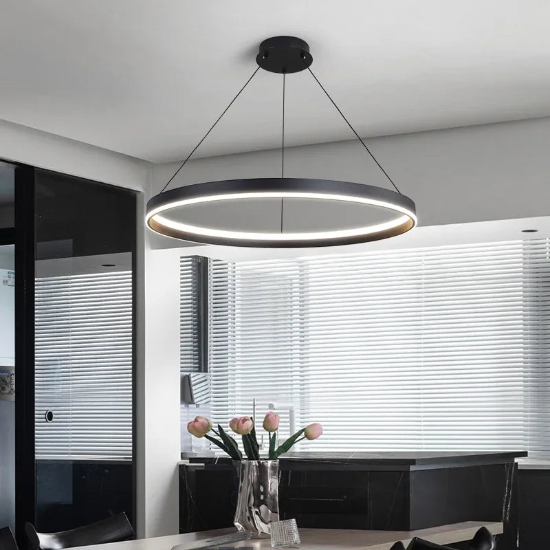 Modern minimalist LED chandelier round ring decorative pendant light