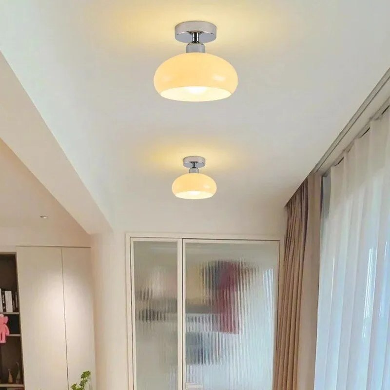 Modern and stylish LED ceiling light