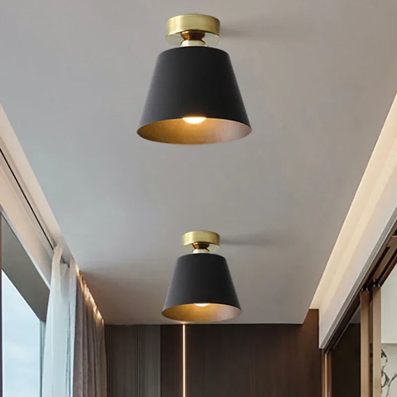Trendy Design Illuminated Ceiling Light