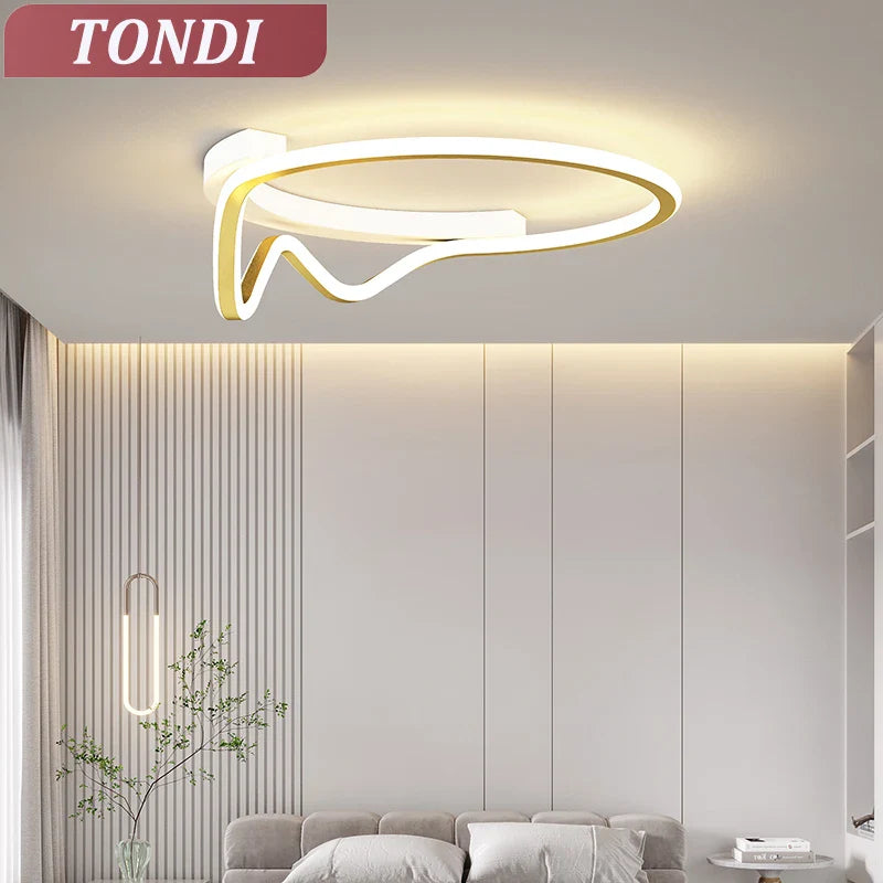 Elegant modern design chandelier