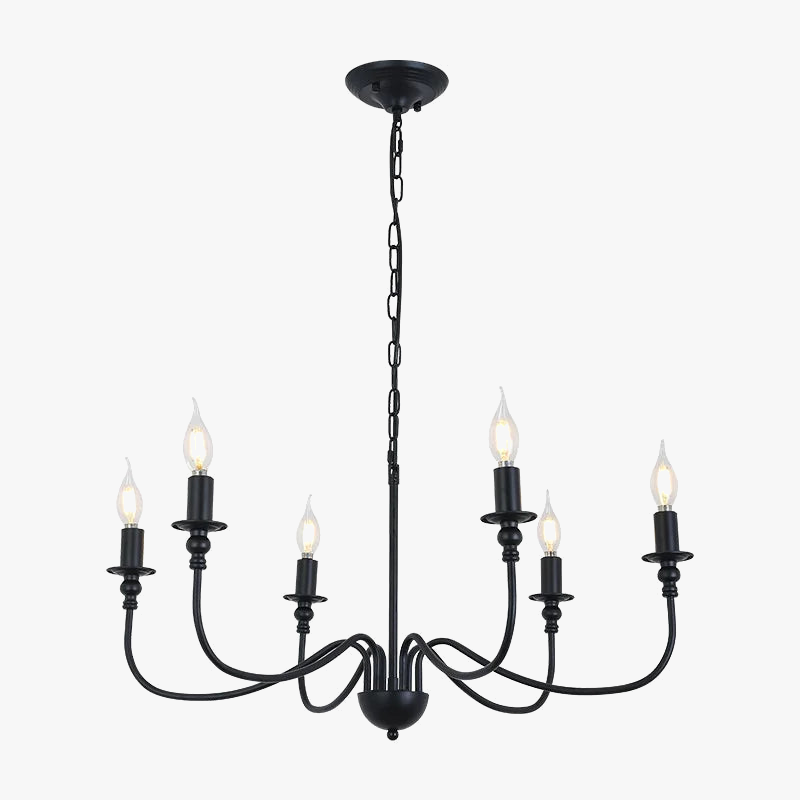 Modern design black iron chandelier