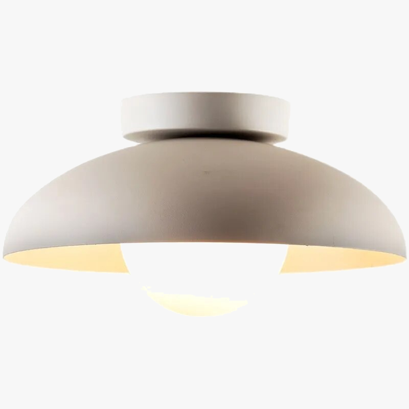 Luminous Contemporary Design Ceiling Light