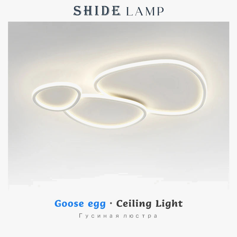 SHIDE Elegant Modern Chandelier